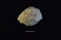 藏品(陶罐)的圖片